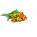 Custom Double Tulip Bouquet